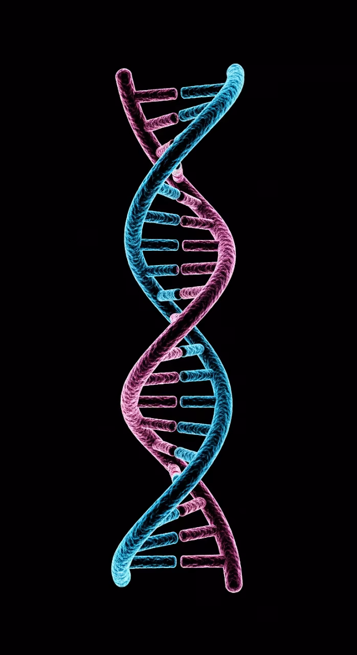 Download Abstract Glowing Double Helix DNA Strand in Neon Blue and Magenta on Black Background Wallpaper in Mobile HD Abstract Glowing Double Helix DNA Strand in Neon Blue and Magenta on Black Background - Free Mobile AMOLED Wallpaper Background