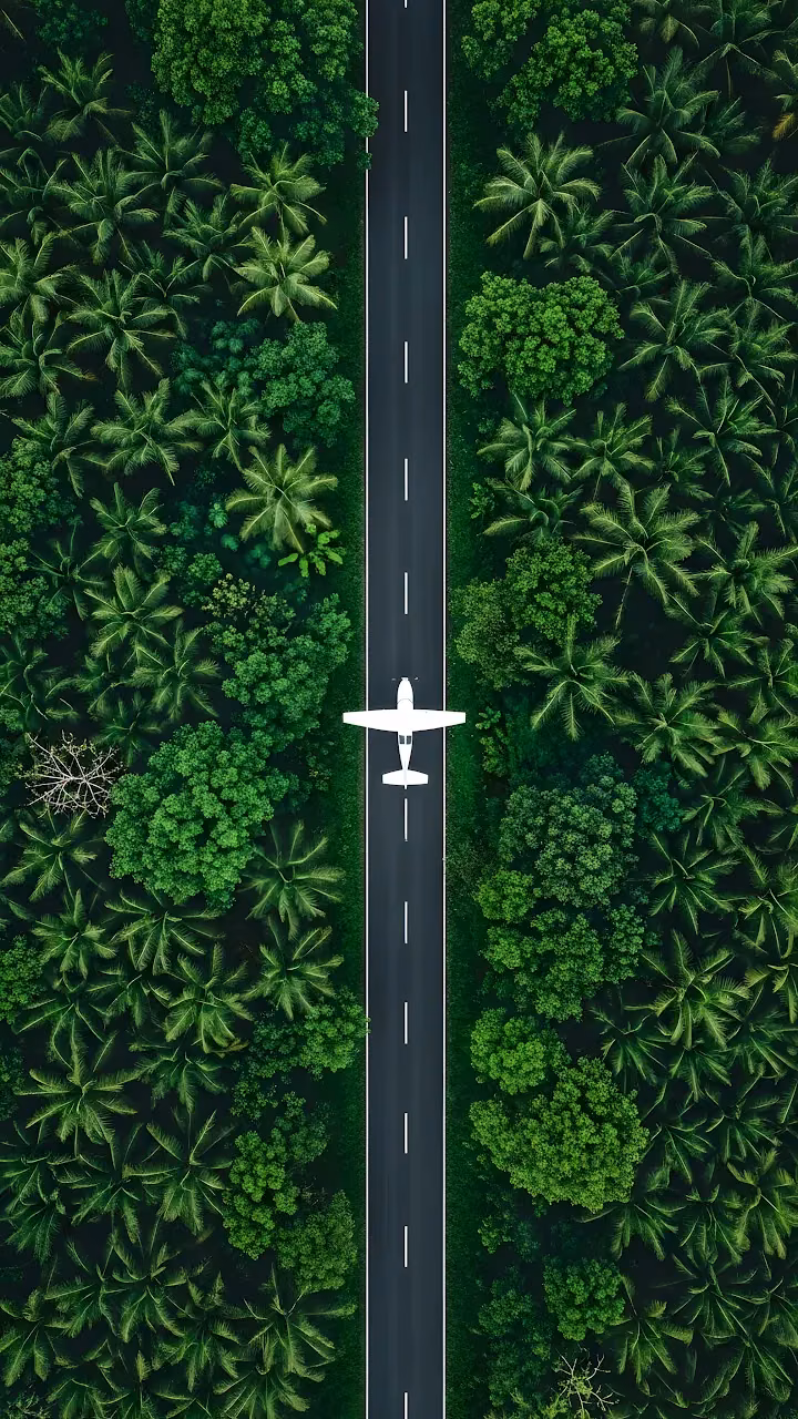 Download Aerial View of Airplane on Jungle Road Runway Wallpaper in Mobile HD Aerial View of Airplane on Jungle Road Runway - Free Mobile AMOLED Wallpaper Background