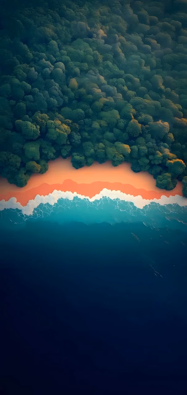 Aerial View of Tropical Forest Meeting Orange Sand Beach - Free Mobile AMOLED Wallpaper Background