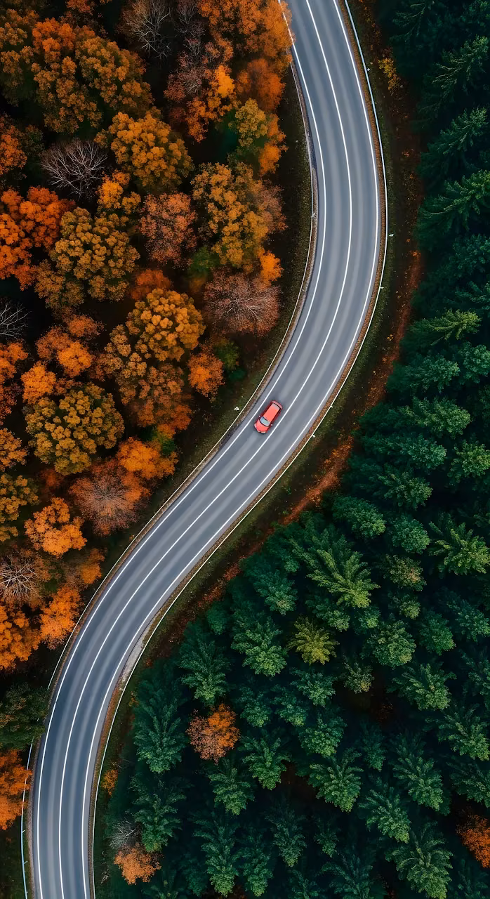 Download Aerial View of Winding Road Dividing Autumn and Pine Forest Wallpaper in Mobile HD Aerial View of Winding Road Dividing Autumn and Pine Forest - Free Mobile AMOLED Wallpaper Background