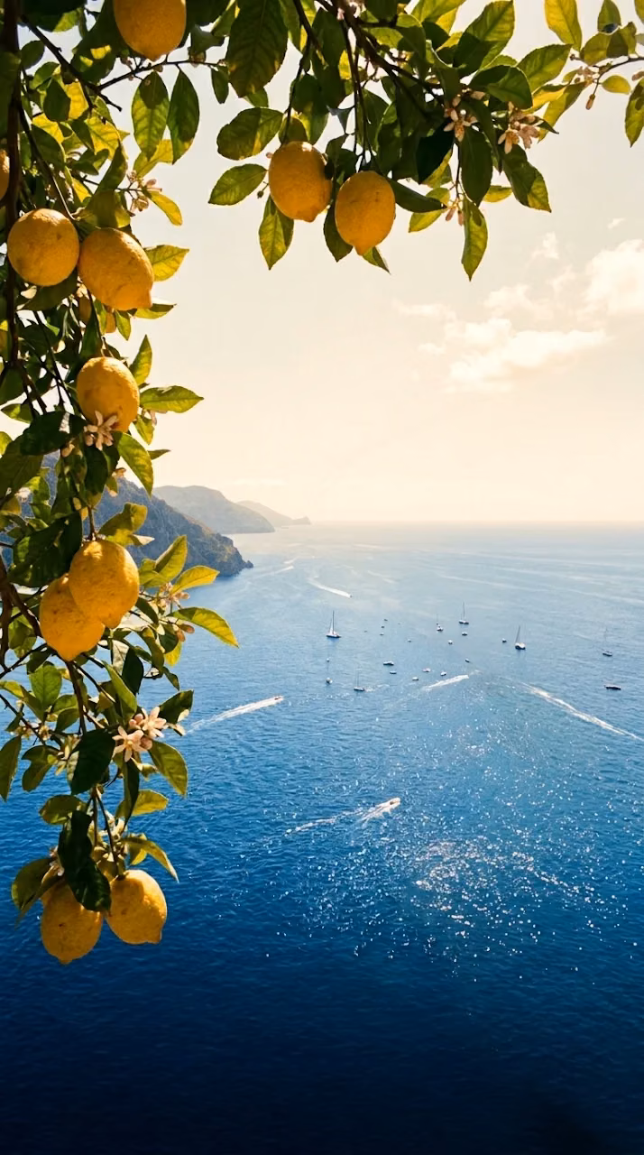 Amalfi Mediterranean Coastline Citrus Tree Vintage Wallpaper - Free Mobile AMOLED Wallpaper Background
