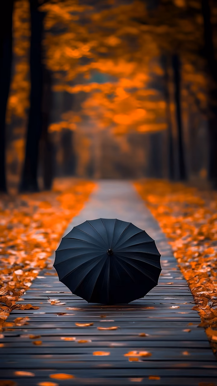 Black Umbrella on Autumn Path Amidst Golden Fallen Leaves - Free Mobile AMOLED Wallpaper Background