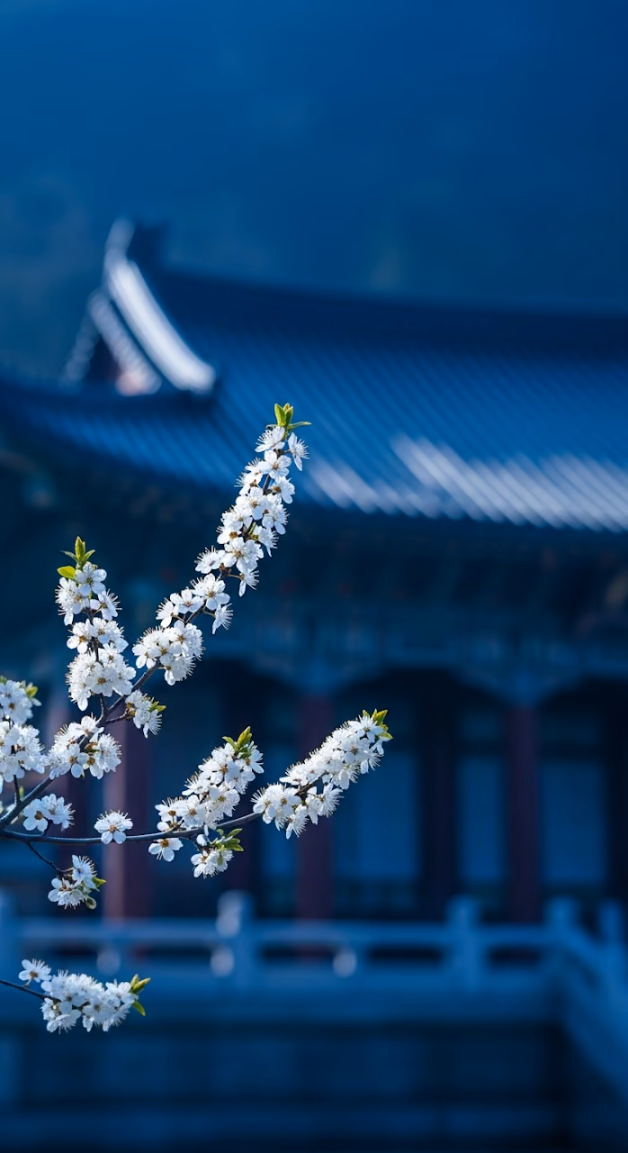Close-up of White Cherry Blossoms Branch Against a Dark Blue Asian Temple Building - Free Mobile AMOLED Wallpaper Background