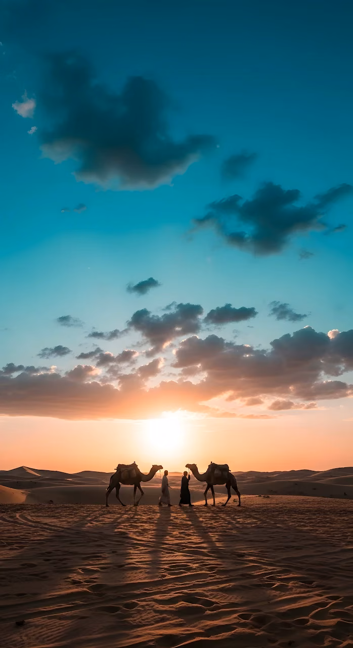Download Desert Sunset Silhouette with Camels and Travelers Wallpaper in Mobile HD Desert Sunset Silhouette with Camels and Travelers - Free Mobile AMOLED Wallpaper Background
