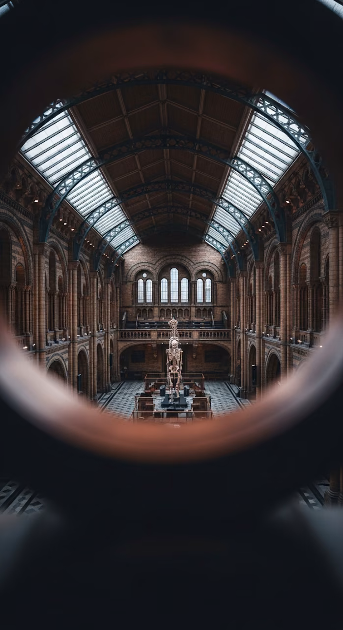 Dramatic View of Grand Victorian Museum Hall Through Blurred Copper Railing - Free Mobile AMOLED Wallpaper Background