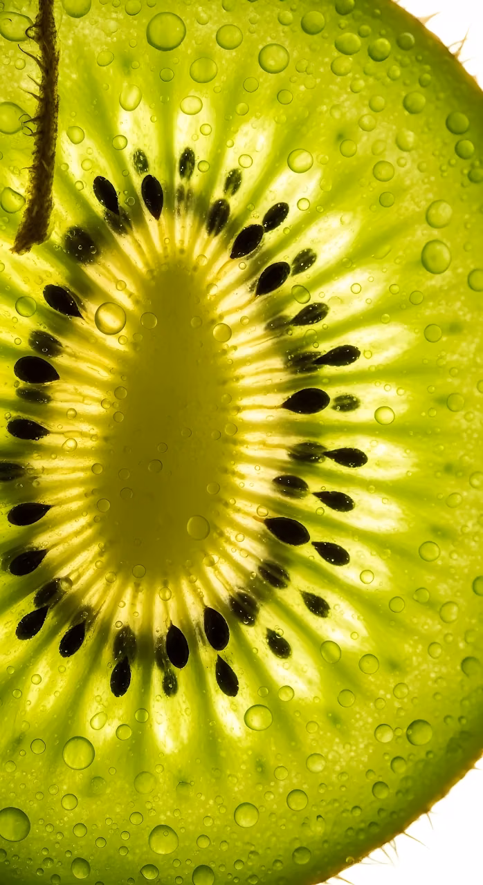 Download Extreme Macro Backlit Kiwi Slice with Fresh Water Droplets Wallpaper in Mobile HD Extreme Macro Backlit Kiwi Slice with Fresh Water Droplets - Free Mobile AMOLED Wallpaper Background