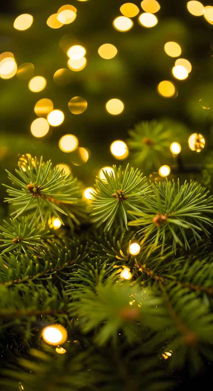 Download Festive Pine Needles with Golden Bokeh Lights Vertical View Wallpaper in Mobile HD Festive Pine Needles with Golden Bokeh Lights Vertical View - Free Mobile AMOLED Wallpaper Background