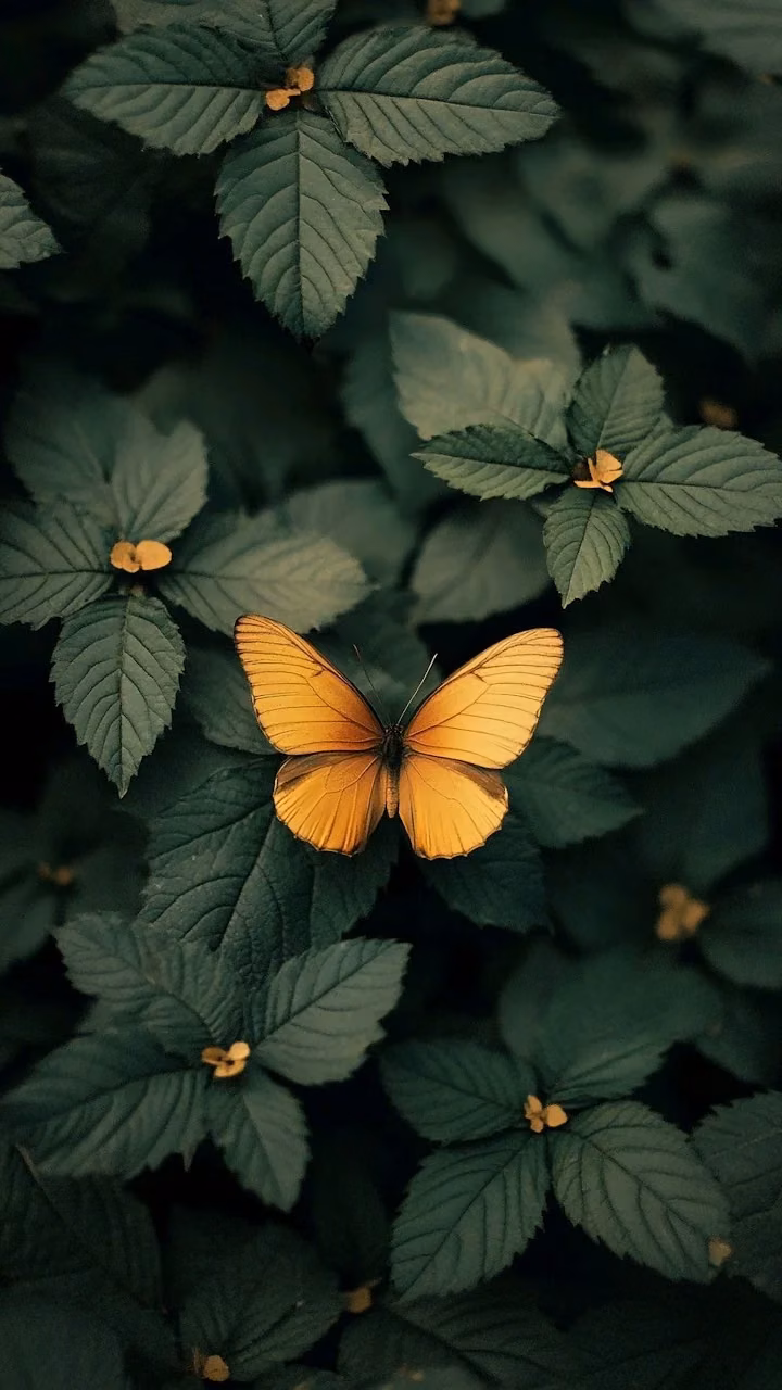 Golden Butterfly on Dark Green Foliage Nature Close-up - Free Mobile AMOLED Wallpaper Background