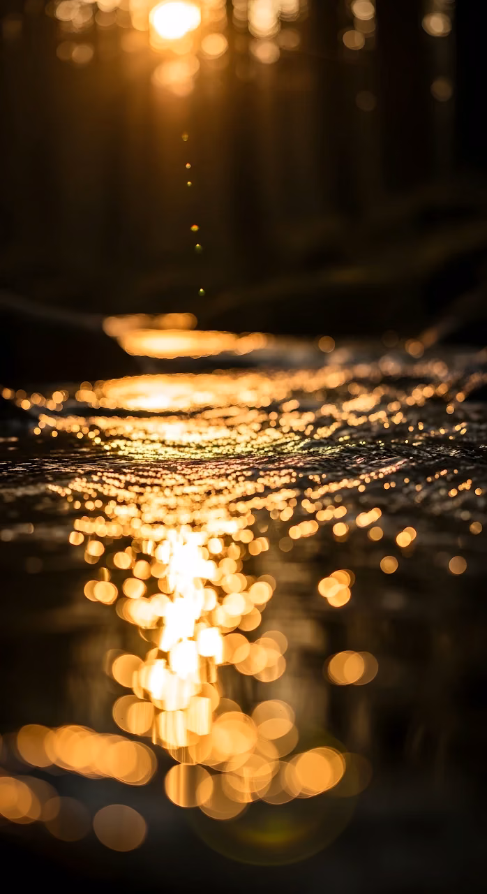 Download Golden Sunlight Reflection Bokeh on Dark Water Surface Wallpaper in Mobile HD Golden Sunlight Reflection Bokeh on Dark Water Surface - Free Mobile AMOLED Wallpaper Background