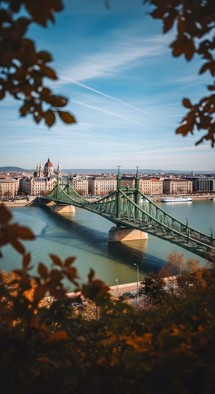 Liberty Bridge Budapest in Autumn Framing - Free Mobile AMOLED Wallpaper Background