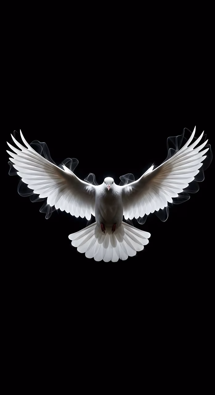 Download Majestic White Dove Flying with Wings Spread on Black Void Wallpaper in Mobile HD Majestic White Dove Flying with Wings Spread on Black Void - Free Mobile AMOLED Wallpaper Background