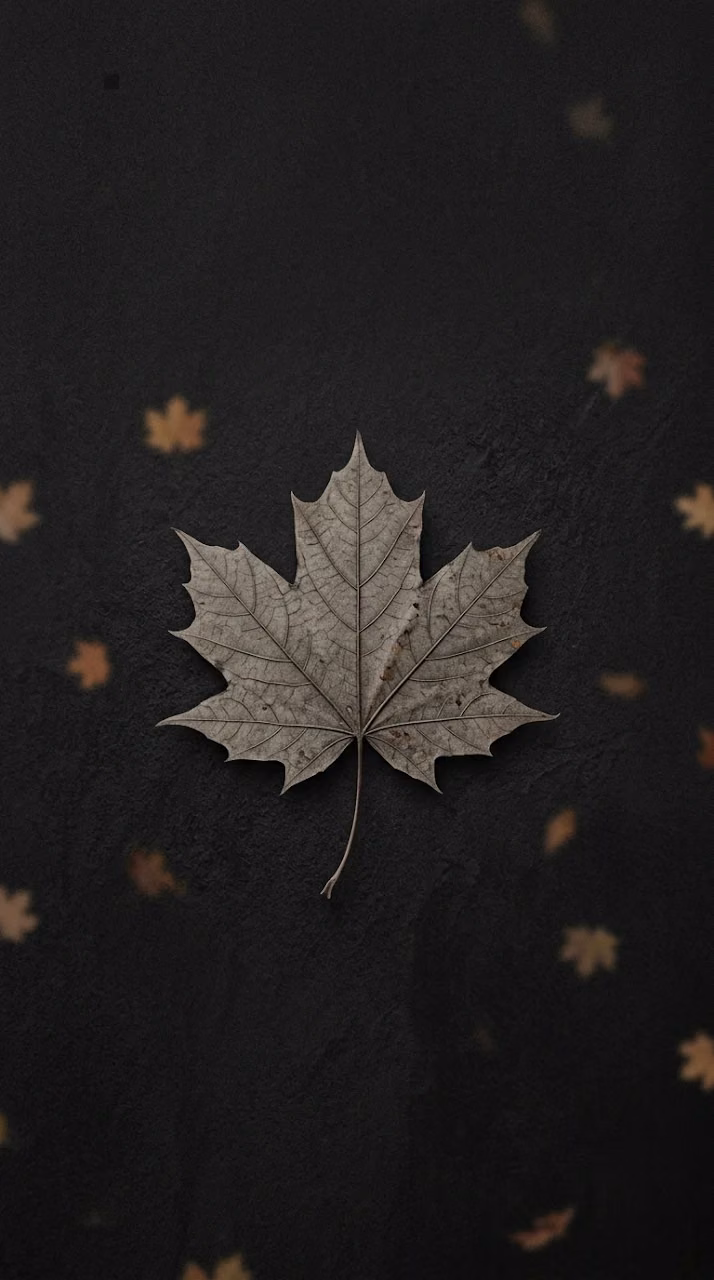 Download Minimalist Autumn Maple Leaf Silhouette on Textured Dark Background Wallpaper in Mobile HD Minimalist Autumn Maple Leaf Silhouette on Textured Dark Background - Free Mobile AMOLED Wallpaper Background