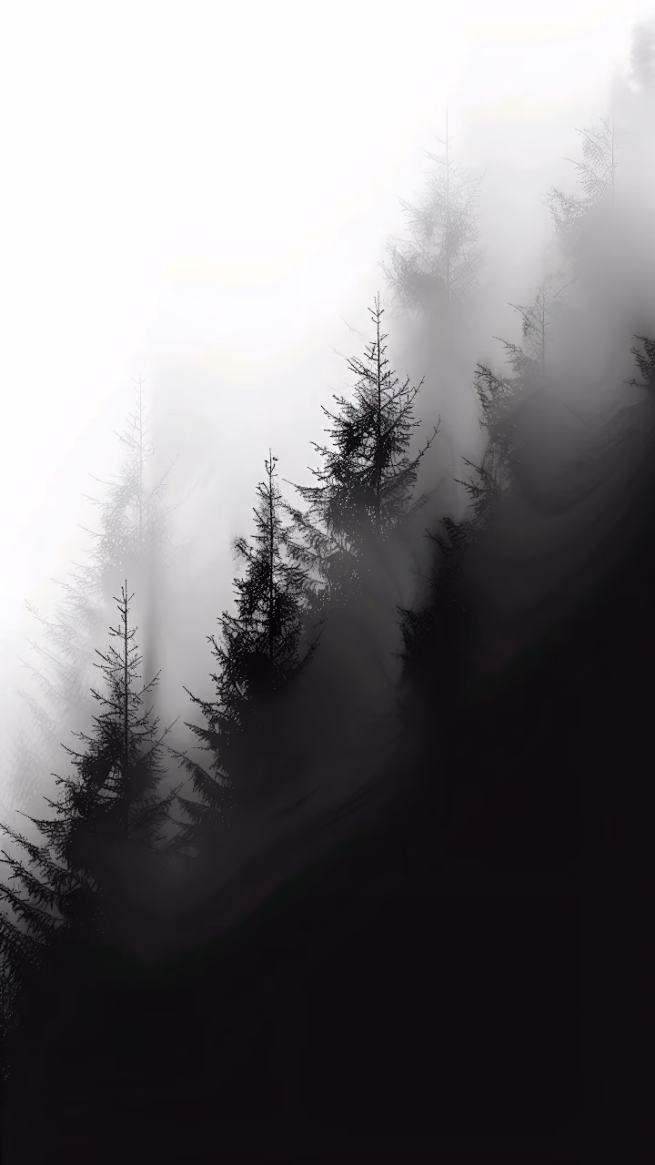 Download Minimalist Black Pine Trees Foggy Forest Silhouette Art Wallpaper in Mobile HD Minimalist Black Pine Trees Foggy Forest Silhouette Art - Free Mobile AMOLED Wallpaper Background