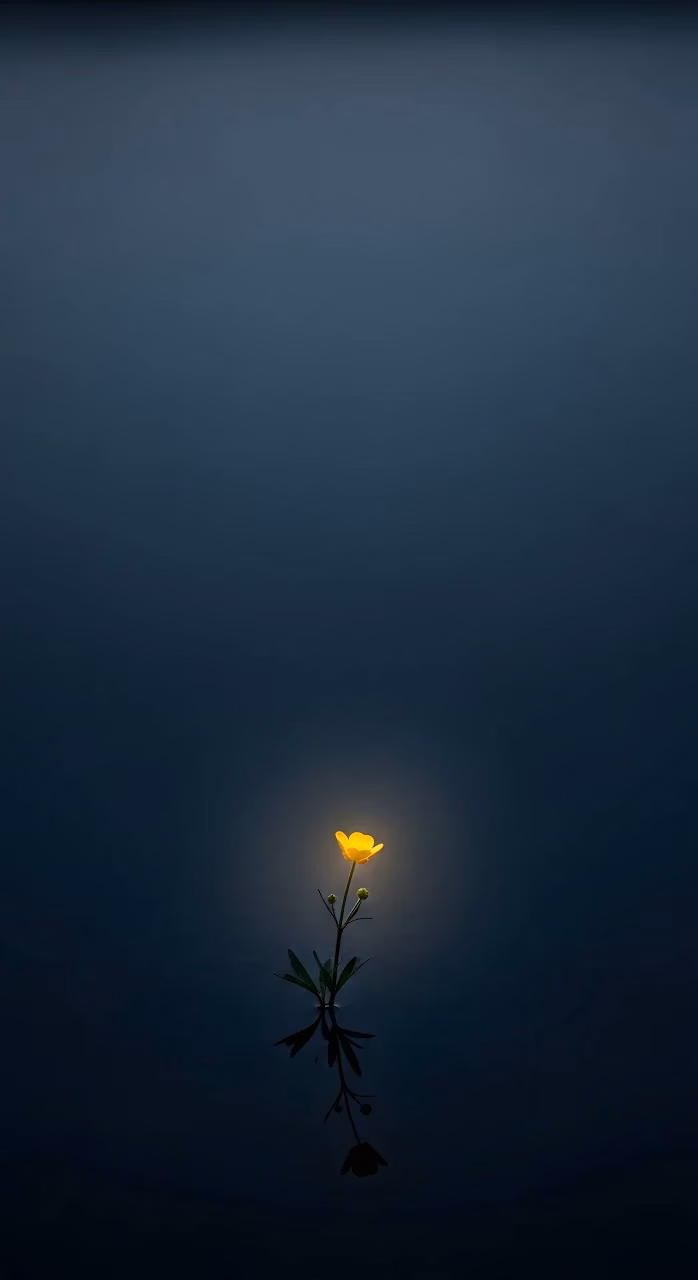 Minimalist Glowing Yellow Flower on Dark Water - Free Mobile AMOLED Wallpaper Background