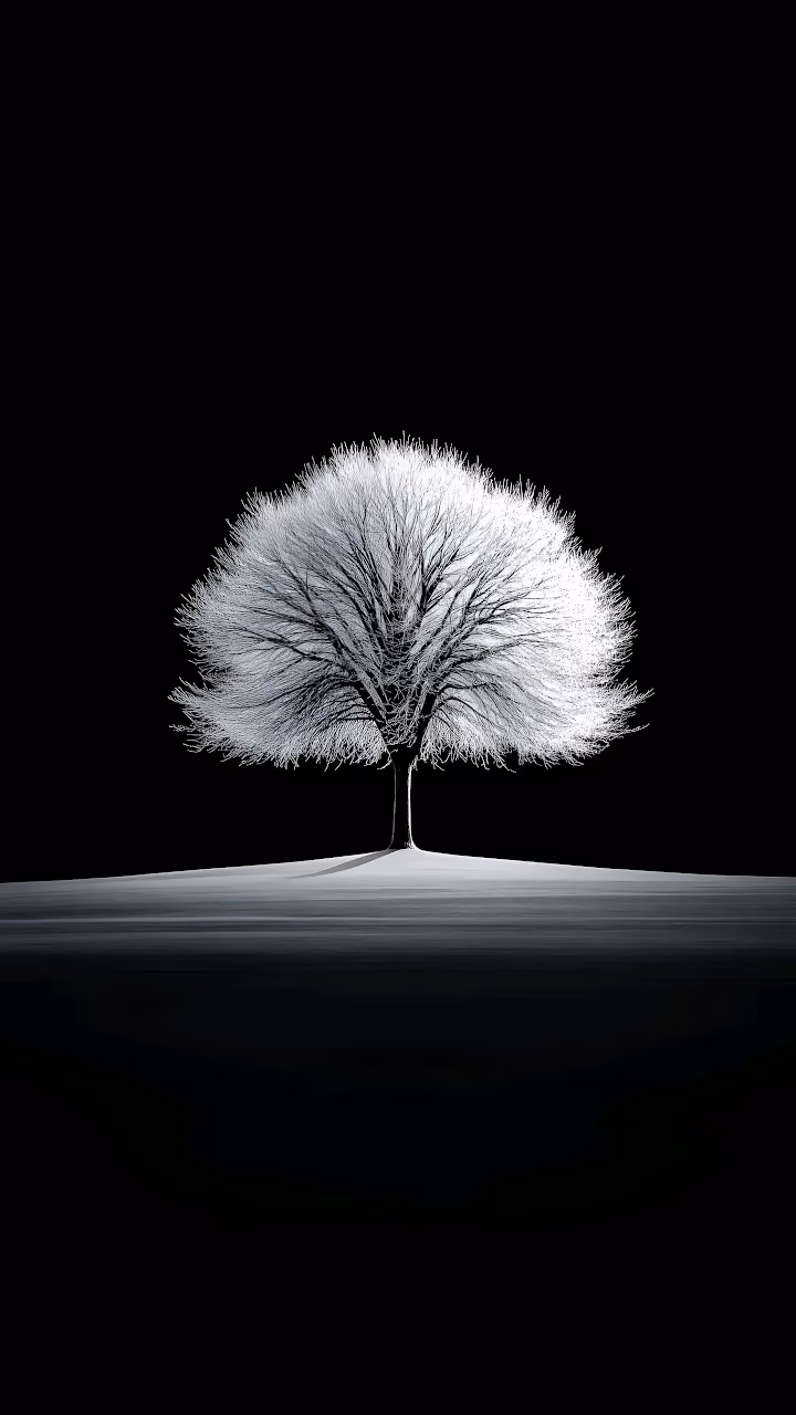 Download Minimalist White Frosted Tree Against Stark Black Void Wallpaper in Mobile HD Minimalist White Frosted Tree Against Stark Black Void - Free Mobile AMOLED Wallpaper Background