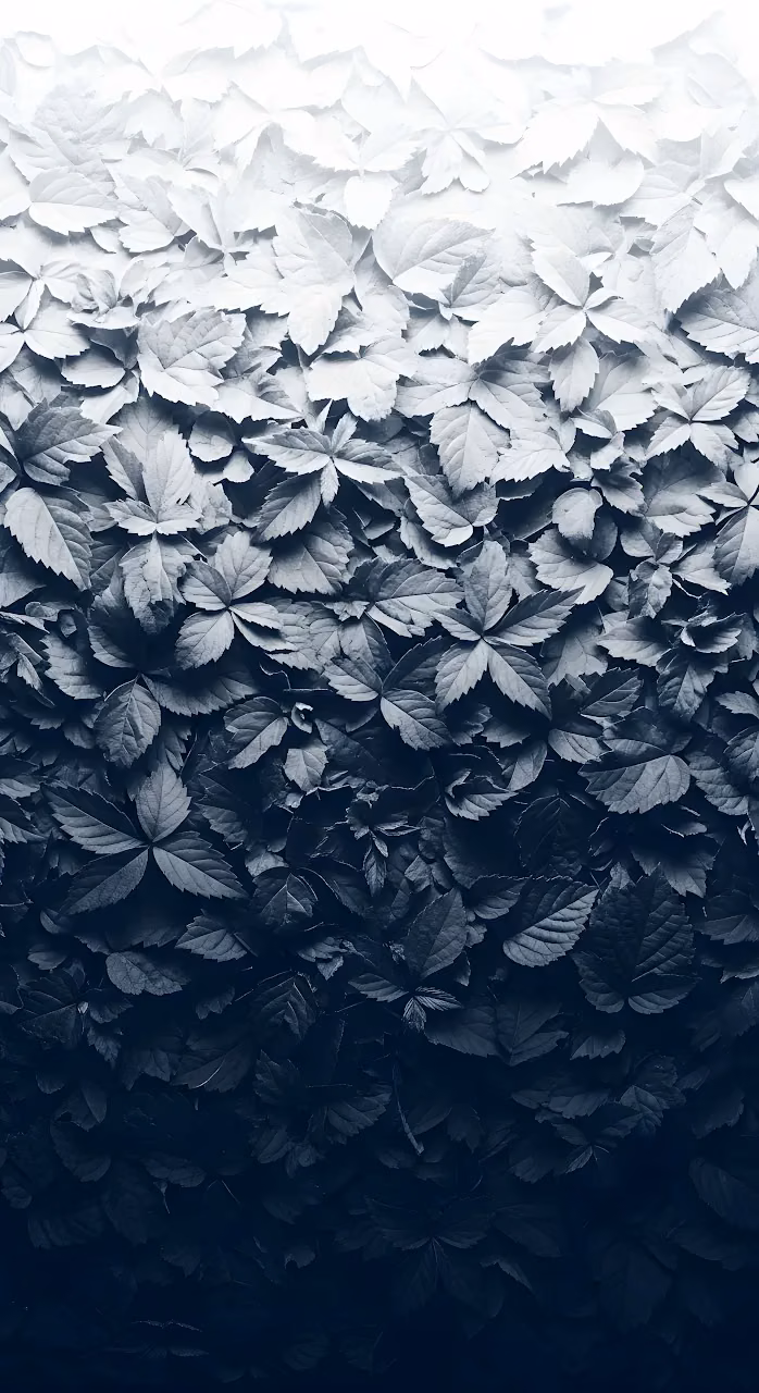 Monochromatic Leaf Gradient Texture Black to White - Free Mobile AMOLED Wallpaper Background