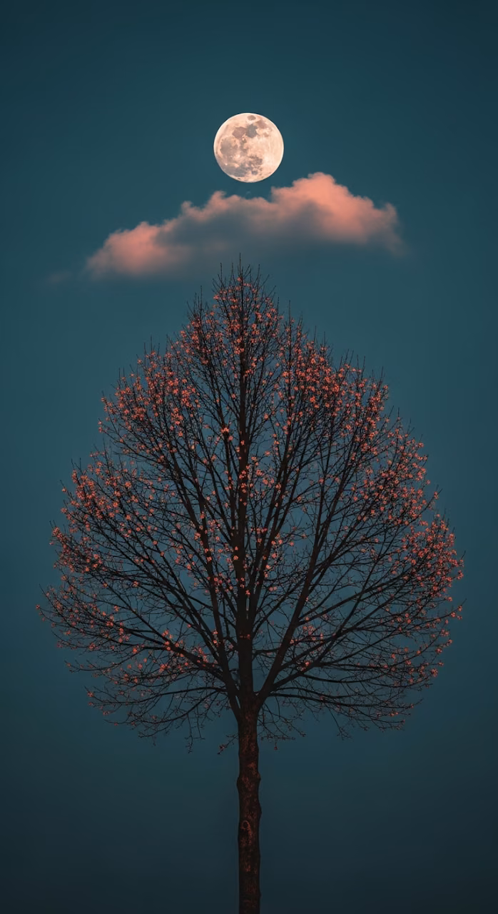 Download Moody High-Contrast Photograph of a Full Moon Over a Silhouetted Tree with Tiny Blooms Wallpaper in Mobile HD Moody High-Contrast Photograph of a Full Moon Over a Silhouetted Tree with Tiny Blooms - Free Mobile AMOLED Wallpaper Background