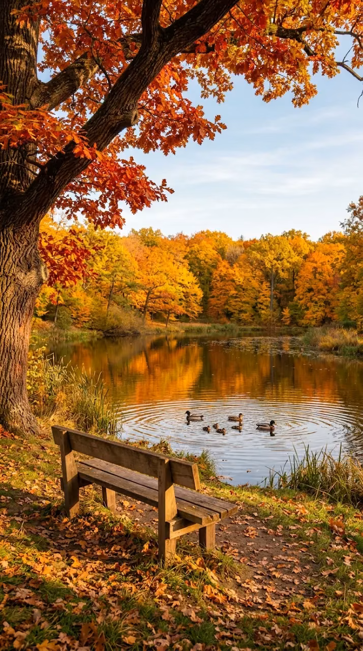 Serene Autumn Park Scene with Pond Ducks and Red Oak Tree - Free Mobile AMOLED Wallpaper Background