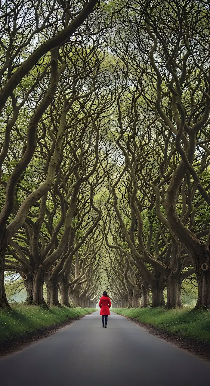 Download Solitary Figure in Red Coat on Dark Hedges Road Wallpaper in Mobile HD Solitary Figure in Red Coat on Dark Hedges Road - Free Mobile AMOLED Wallpaper Background