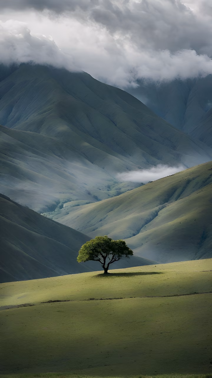 Download Solitary Tree on Rolling Green Hills Under Clouds Wallpaper in Mobile HD Solitary Tree on Rolling Green Hills Under Clouds - Free Mobile AMOLED Wallpaper Background