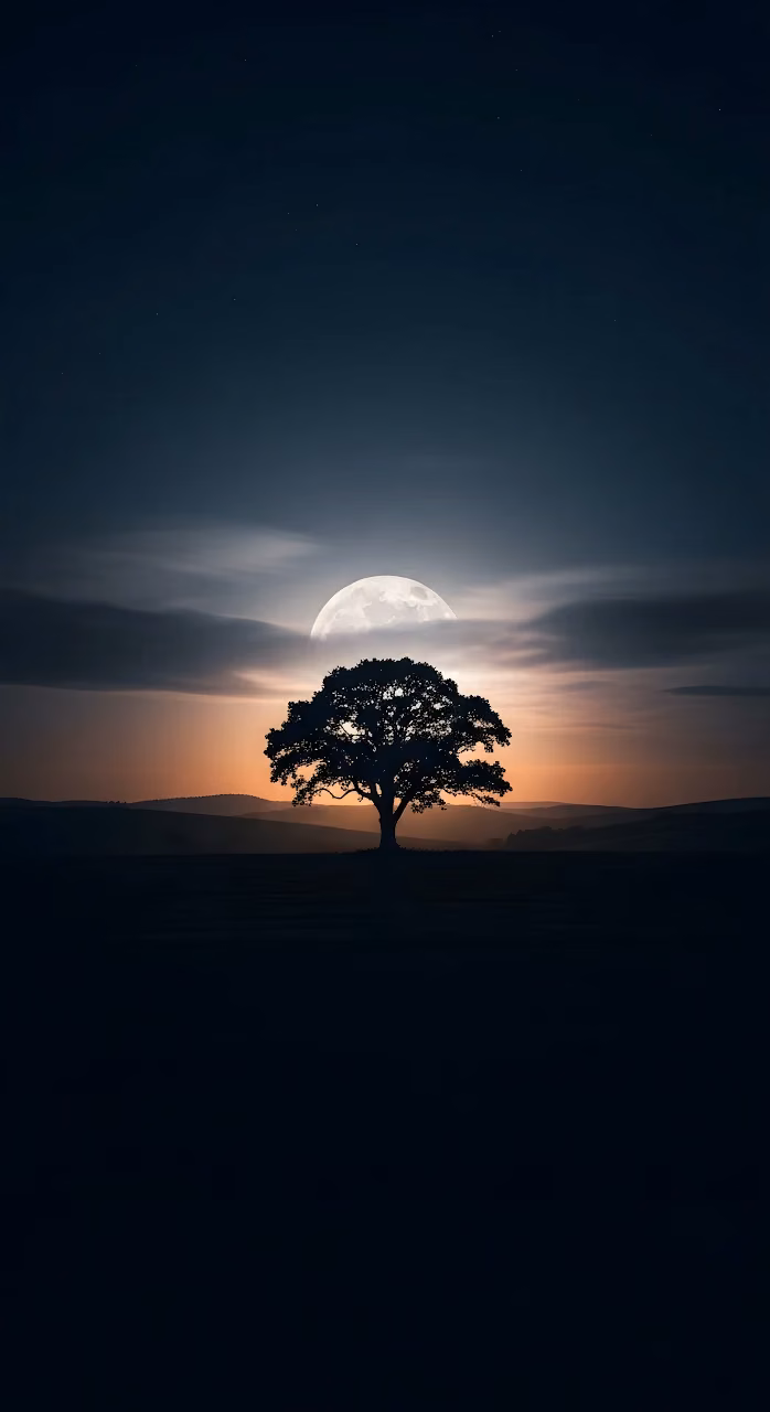 Solitary Tree Silhouette Against Dramatic Full Moon Rise - Free Mobile AMOLED Wallpaper Background