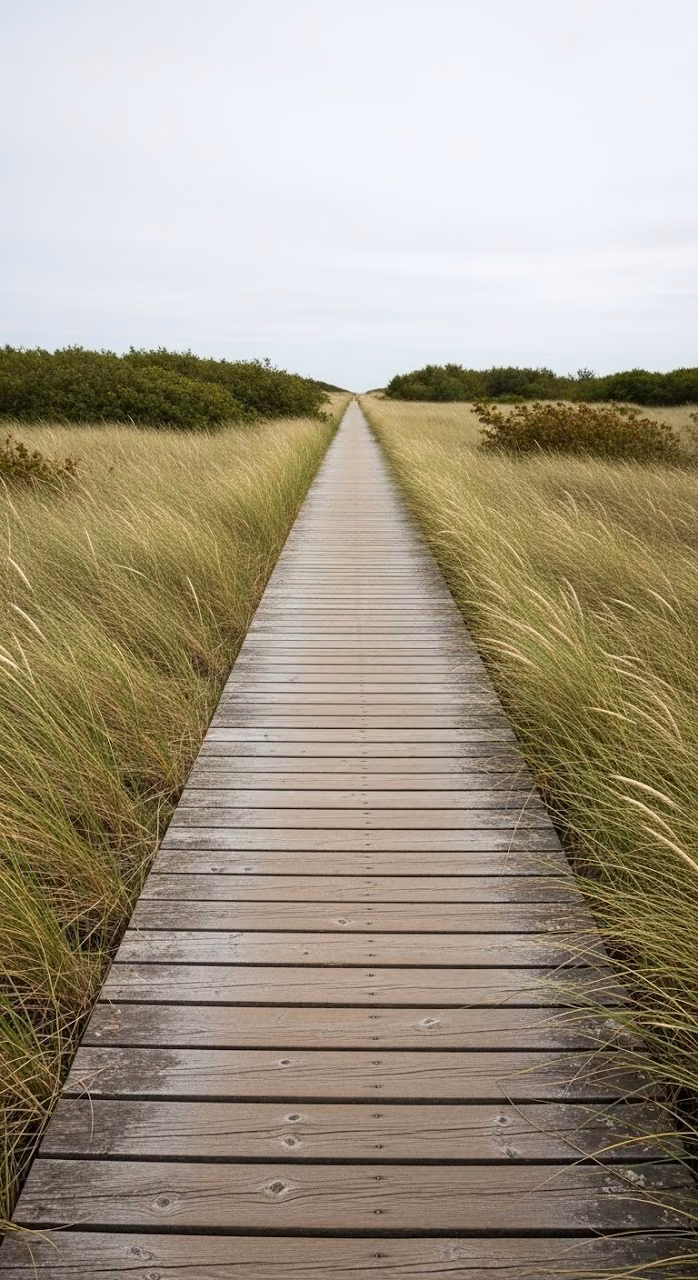 Straight Wooden Board Path Leading Through Grassy Dunes Under a Cloudy Sky - Free Mobile AMOLED Wallpaper Background
