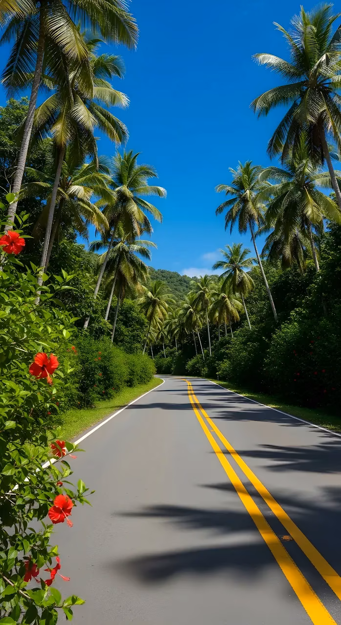 Download Sunny Tropical Drive Under Blue Sky Framed by Palm Trees Wallpaper in Mobile HD Sunny Tropical Drive Under Blue Sky Framed by Palm Trees - Free Mobile AMOLED Wallpaper Background