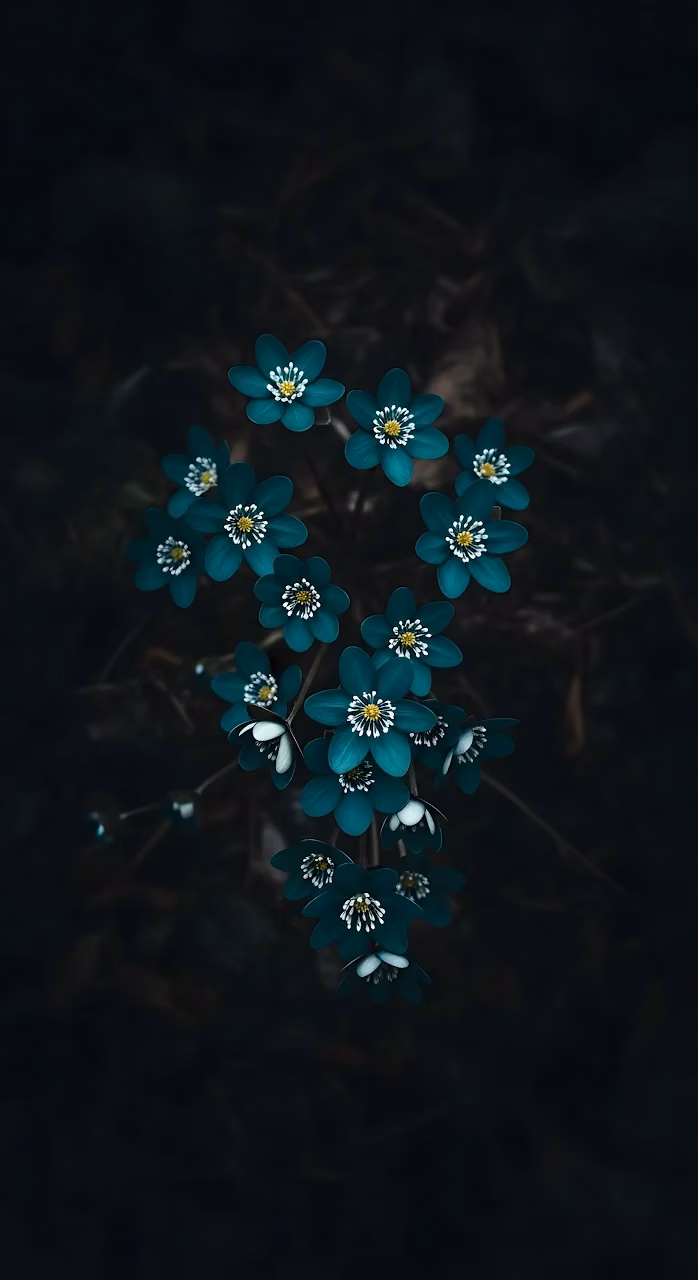 Teal Liverwort Flowers on Dark Moody Forest Floor - Free Mobile AMOLED Wallpaper Background