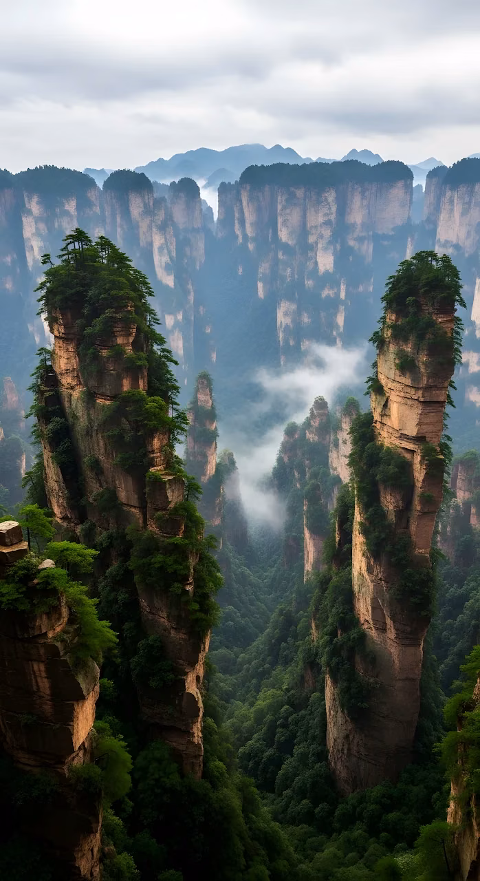 Towering Zhangjiajie Sandstone Pillars in Misty Valley - Free Mobile AMOLED Wallpaper Background