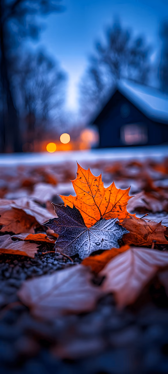 Download Vibrant Autumn Leaf on Frosty Ground at Dusk Wallpaper in Mobile HD Vibrant Autumn Leaf on Frosty Ground at Dusk - Free Mobile AMOLED Wallpaper Background