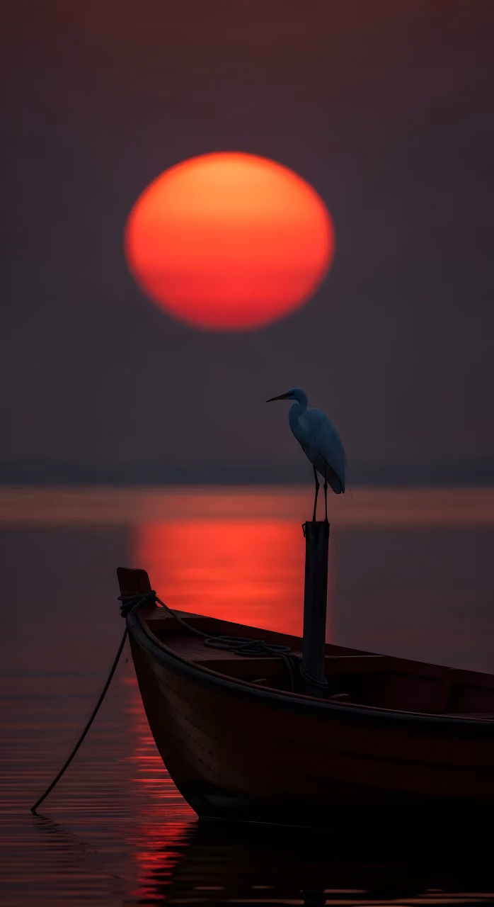 White Egret on Boat Mast Against Giant Red Sunset Silhouette - Free Mobile AMOLED Wallpaper Background