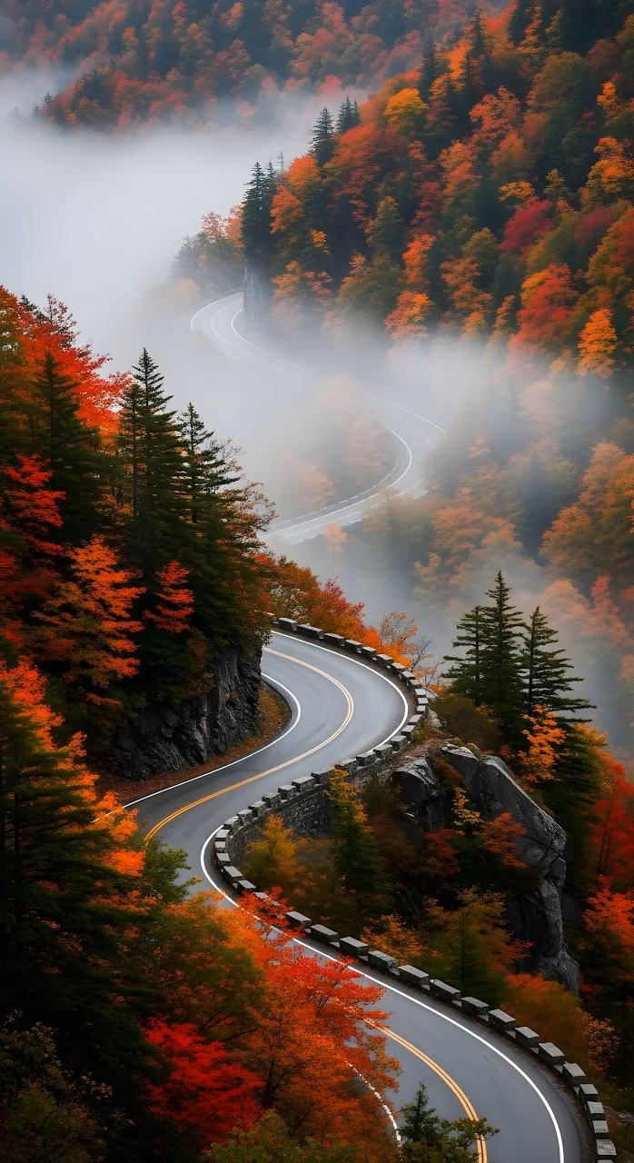 Winding Mountain Road Through Foggy Autumn Forest - Free Mobile AMOLED Wallpaper Background