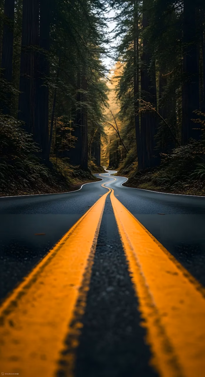 Winding Road Through Dark Redwood Forest with Yellow Lines - Free Mobile AMOLED Wallpaper Background