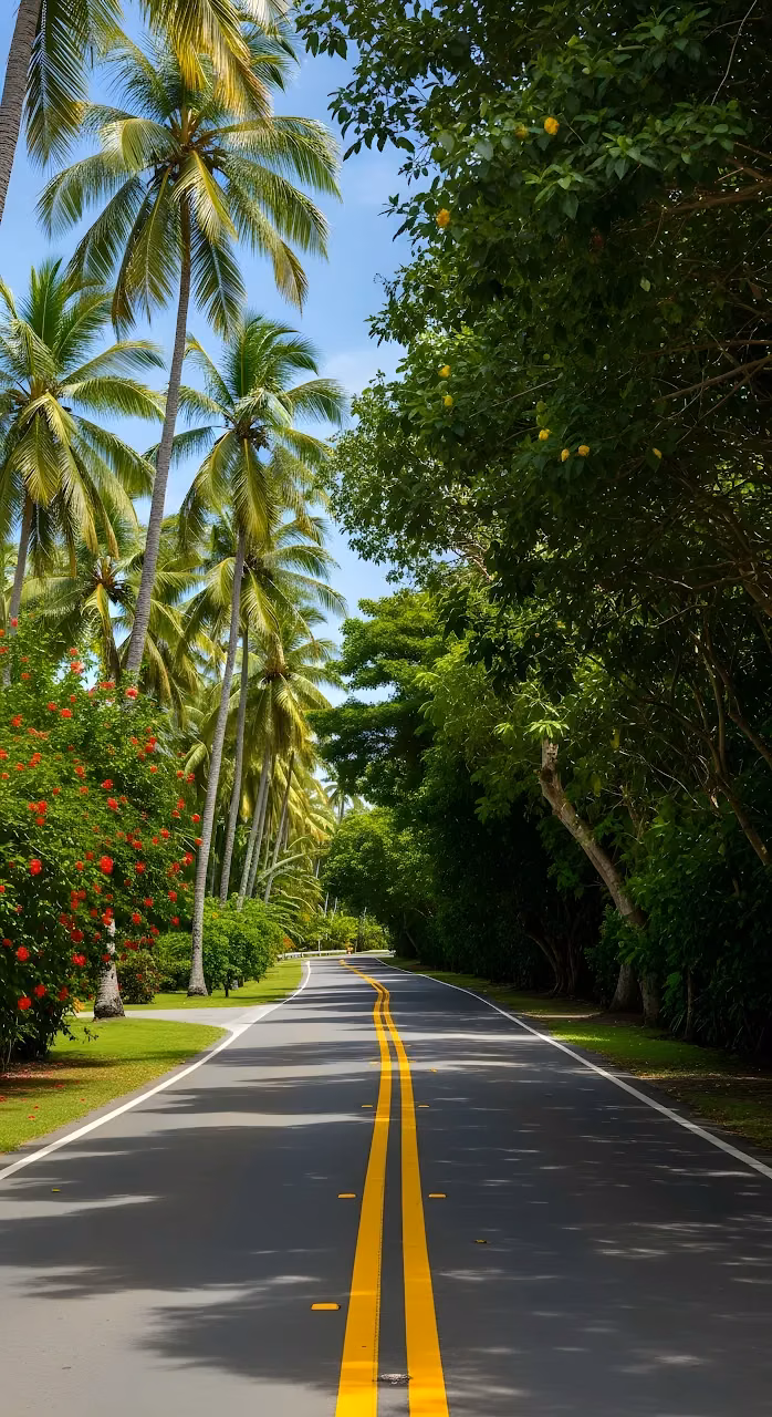 Winding Tropical Road Lined with Palm Trees and Hibiscus - Free Mobile AMOLED Wallpaper Background