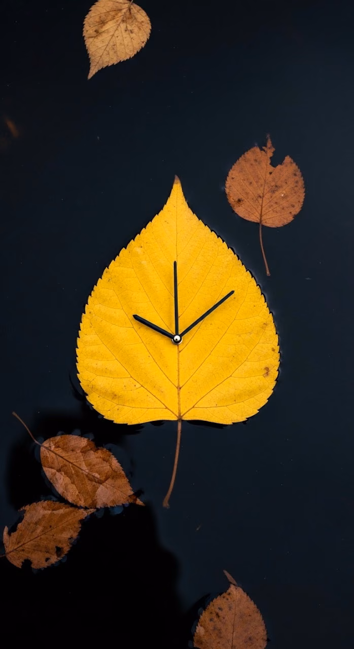 Yellow Birch Leaf Floating on Water with Clock Hands - Free Mobile AMOLED Wallpaper Background