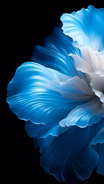Abstract Blue and White Flower Petal on Black - Free 4K & 8K Mobile Wallpaper