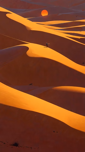 Abstract Flowing Liquid Gold Texture - Free 4K & 8K Mobile Wallpaper