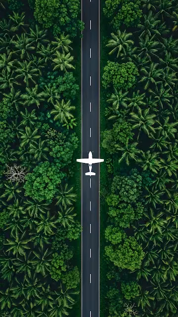 Aerial View of Airplane on Jungle Road Runway - Free 4K & 8K Mobile Wallpaper
