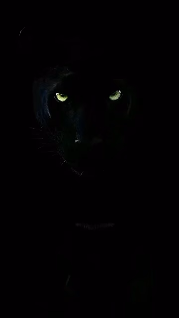 Black Panther with Intense Glowing Green Eyes - Free 4K & 8K Mobile Wallpaper