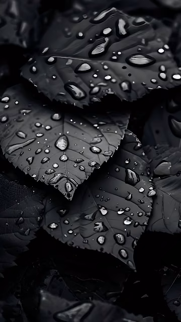 Dark Monochromatic Leaves Water Droplets Macro Texture - Free 4K & 8K Mobile Wallpaper