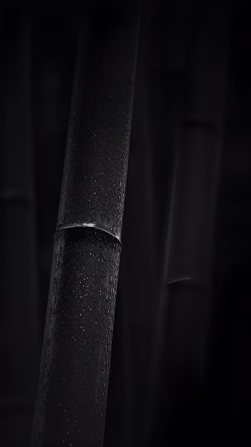 Dark Wet Bamboo Stalks Close Up Monochrome Nature Detail - Free 4K & 8K Mobile Wallpaper