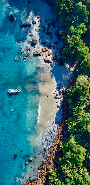 Exotic Beach Drone View Turquoise Ocean Green Jungle - Free 4K & 8K Mobile Wallpaper