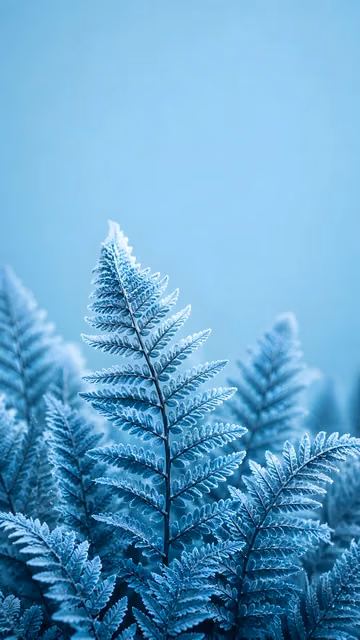 Frosted blue fern fronds rise from the lower frame against a soft cyan background.