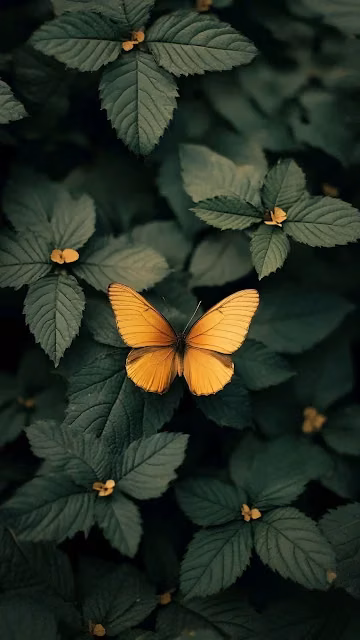 Golden Butterfly on Dark Green Foliage Nature Close-up - Free 4K & 8K Mobile Wallpaper