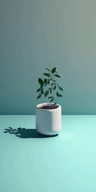 Minimalist Potted Plant on Mint Surface - Free 4K & 8K Mobile Wallpaper