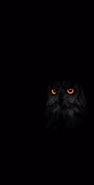 Mysterious Owl with Glowing Orange Eyes in Darkness - Free 4K & 8K Mobile Wallpaper