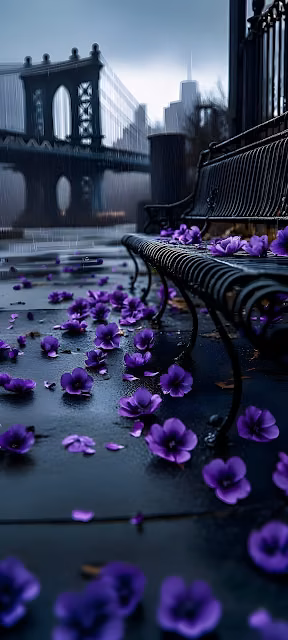 Purple Flowers on Rainy Bench Near Brooklyn Bridge - Free 4K & 8K Mobile Wallpaper