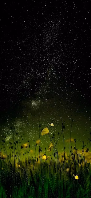 Starry Night Sky Above Yellow Wildflower Field - Free 4K & 8K Mobile Wallpaper