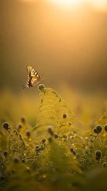 Swallowtail Butterfly on Fern Frond at Sunset - Free 4K & 8K Mobile Wallpaper