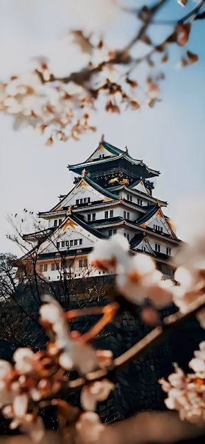 Traditional Japanese Castle Amidst Blooming Cherry Blossoms - Free 4K & 8K Mobile Wallpaper